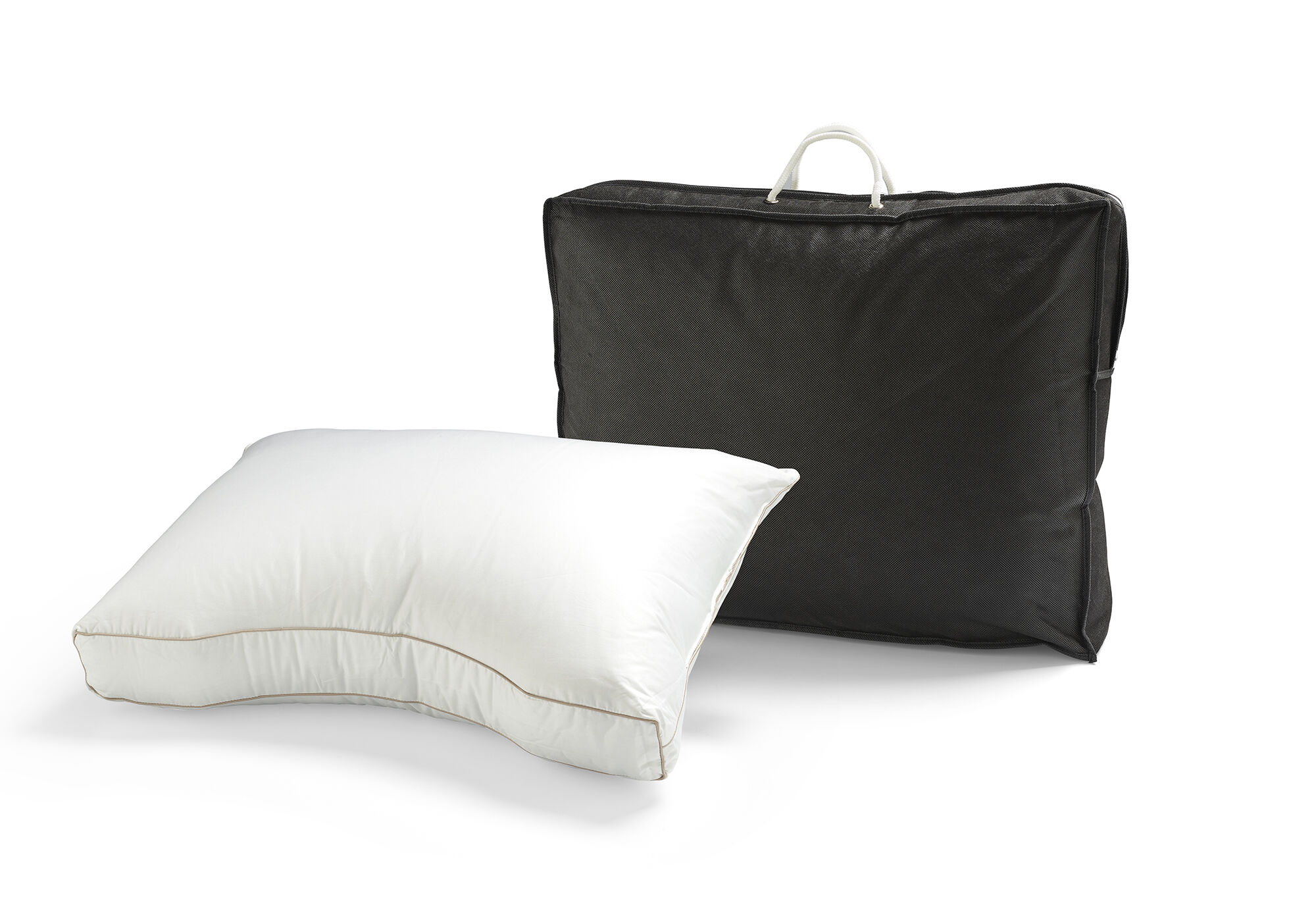 Entendaunen aus den Niederlanden