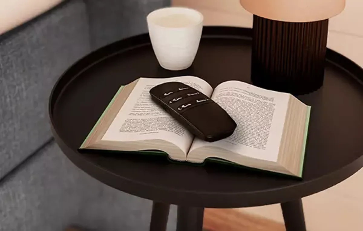 Elektrische Ausführung (optional)